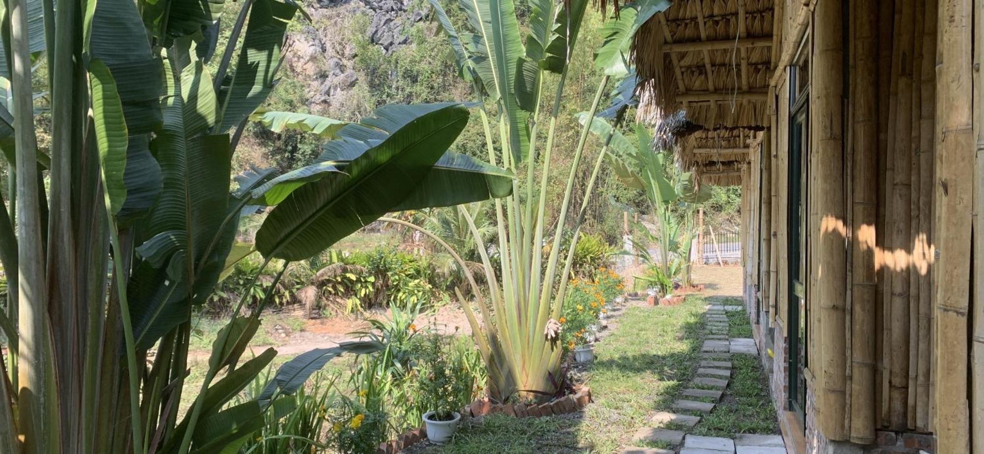 Cat Ba Island Garden Homestay - Papillon Exterior foto